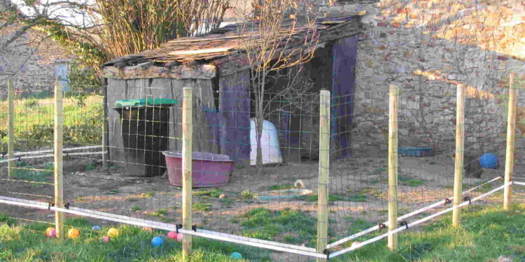 Pourquoi mettre un chien dans un enclos ?