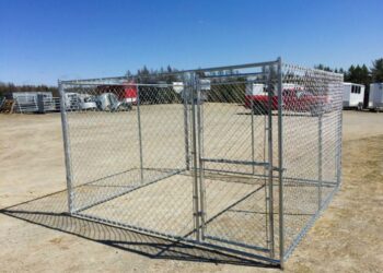 Pourquoi mettre un chien dans un enclos ?