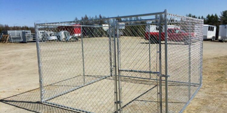 Pourquoi mettre un chien dans un enclos ?