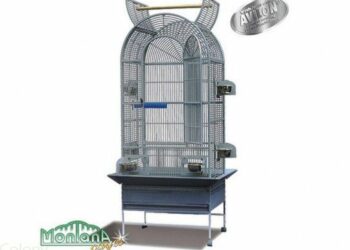 Pourquoi mettre un chien dans une cage ?