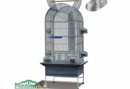 Pourquoi mettre un chien dans une cage ?