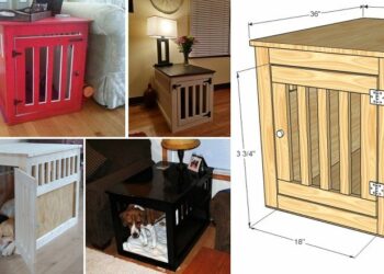 Pourquoi mettre un chien dans une cage ?