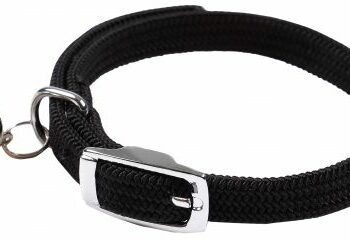 Pourquoi mettre un collier à grelot à un chat ?