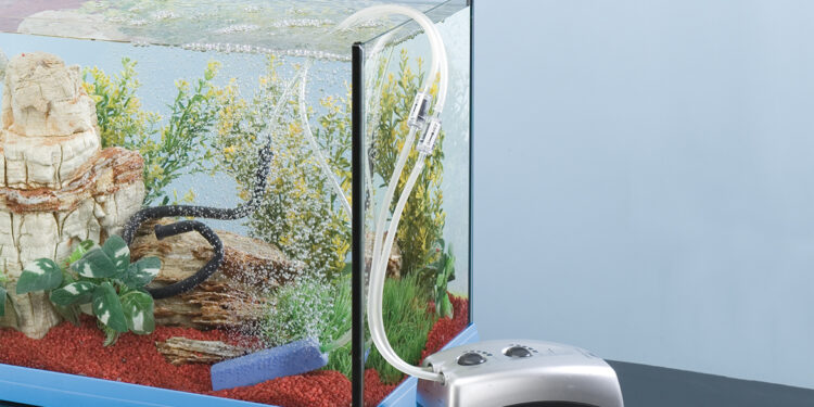 Pourquoi mettre une pompe de brassage dans un aquarium ?
