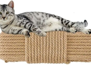 Pourquoi mon chat ne va pas dans son arbre à chat ?