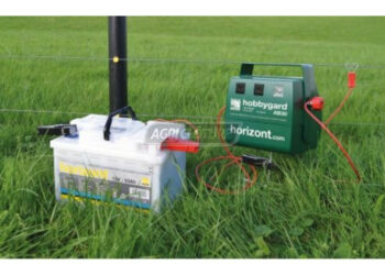 Pourquoi mon chat veut tout le temps aller dehors ?