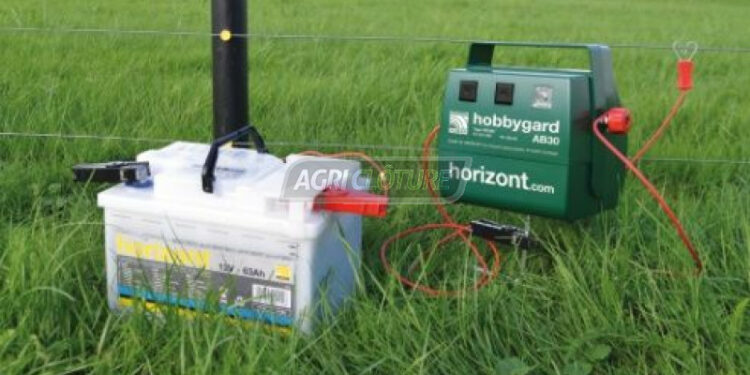 Pourquoi mon chat veut tout le temps aller dehors ?