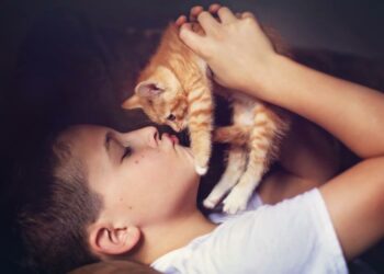 Pourquoi mon chaton n'est pas câlin ?