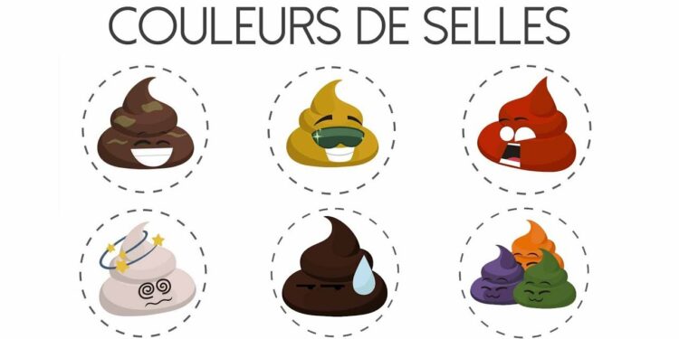 Pourquoi mon chien fait ses besoins dans la maison la nuit ?