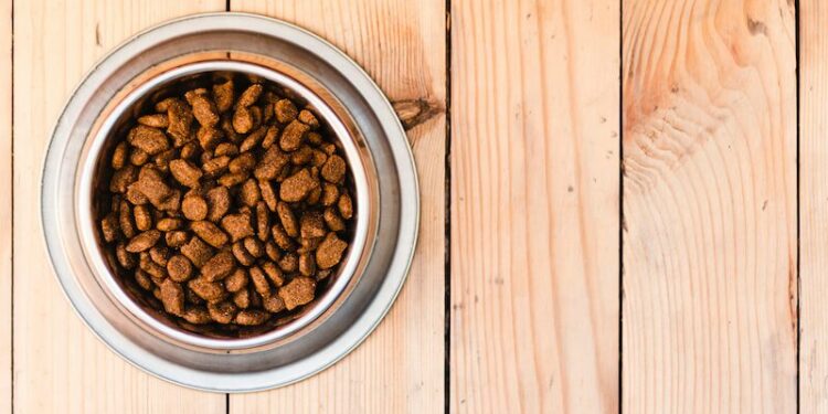 Pourquoi mon chien sent le poisson ?