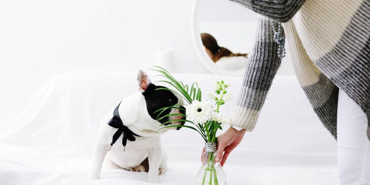 Pourquoi mon chiot mange tout ce qu'il trouve ?