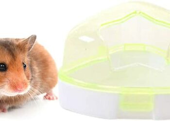 Pourquoi mon hamster fait pipi partout ?