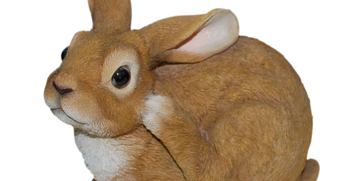 Pourquoi mon lapin fait des crottes partout ?