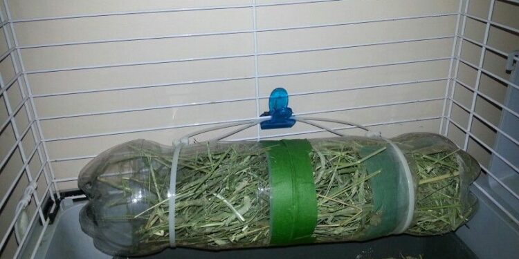 Pourquoi mon lapin sort tout son foin par terre ?