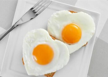 Pourquoi ne pas donner du pain aux poules ?