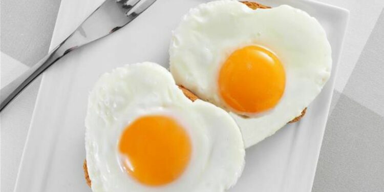 Pourquoi ne pas donner du pain aux poules ?