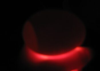 Pourquoi ne pas mettre les œufs dans le frigo ?