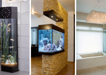 Pourquoi ne pas mettre un aquarium devant une fenêtre ?