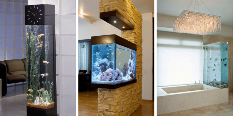 Pourquoi ne pas mettre un aquarium devant une fenêtre ?