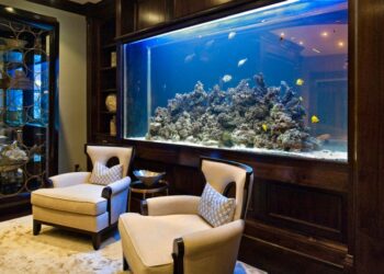 Pourquoi ne pas mettre un aquarium devant une fenêtre ?