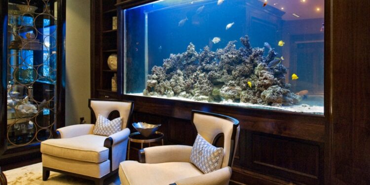 Pourquoi ne pas mettre un aquarium devant une fenêtre ?