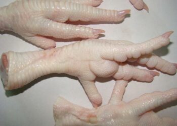 Pourquoi on dit pied-de-poule ?