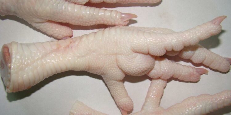 Pourquoi on dit pied-de-poule ?