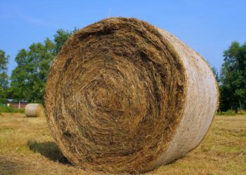 Pourquoi pailler avec du foin ?