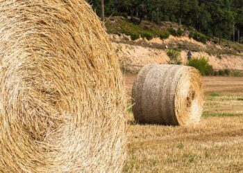 Pourquoi pailler avec du foin ?