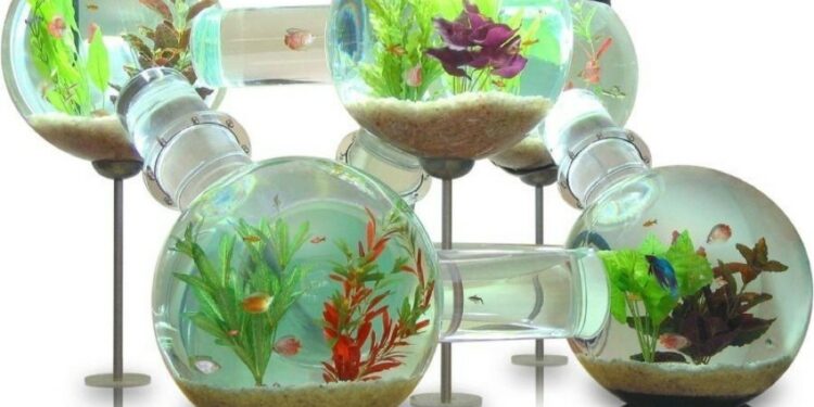 Pourquoi pas d'aquarium rond ?