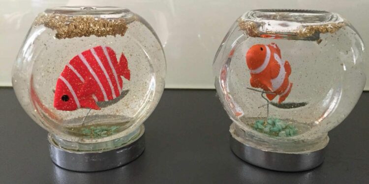 Pourquoi pas de bocal rond pour poisson ?