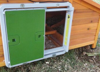 Pourquoi surélever un poulailler ?