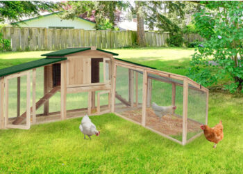 Pourquoi surélever un poulailler ?