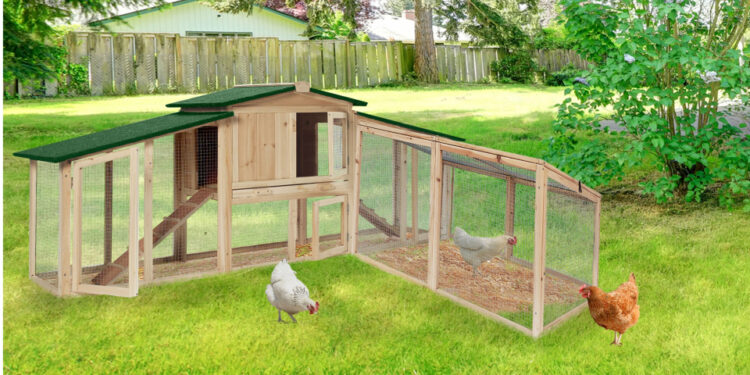 Pourquoi surélever un poulailler ?