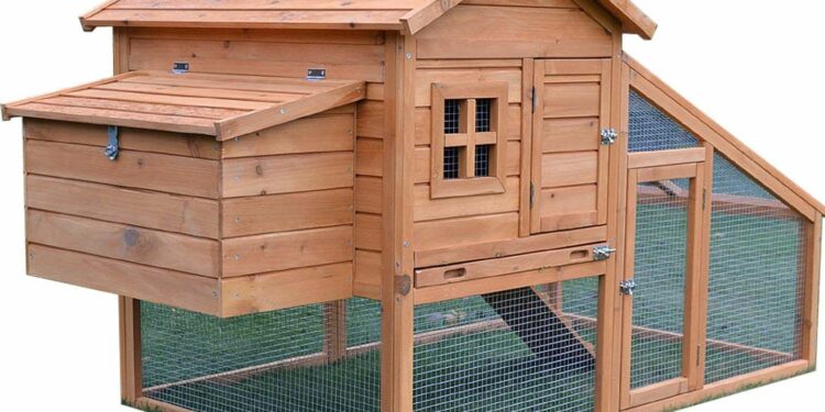 Pourquoi surélever un poulailler ?