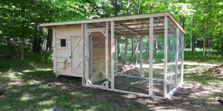 Pourquoi surélever un poulailler ?