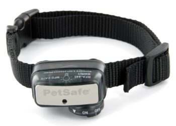 Pourquoi un chien aboie sans raison ?