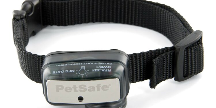 Pourquoi un chien aboie sans raison ?