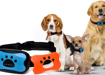 Pourquoi un chien n'arrête pas d'aboyer ?