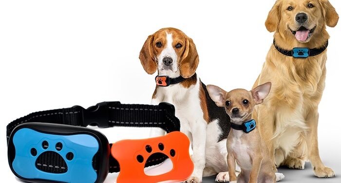 Pourquoi un chien n'arrête pas d'aboyer ?