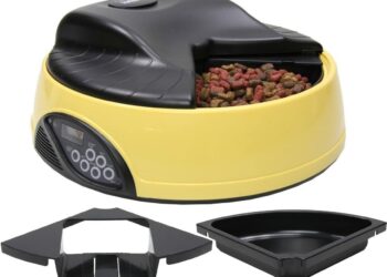 Pourquoi un chien ne doit pas manger en hauteur ?