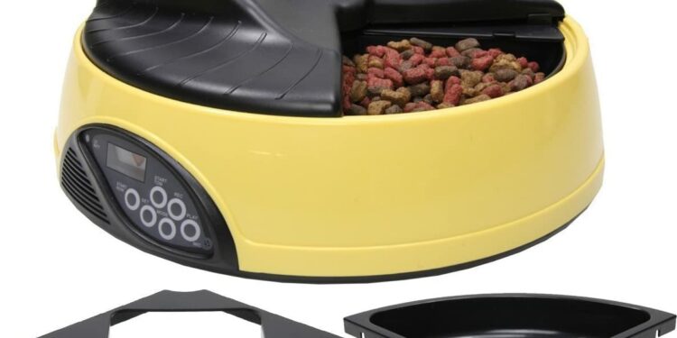 Pourquoi un chien ne doit pas manger en hauteur ?