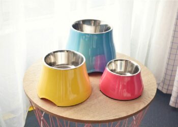 Pourquoi un chien ne doit pas manger en hauteur ?