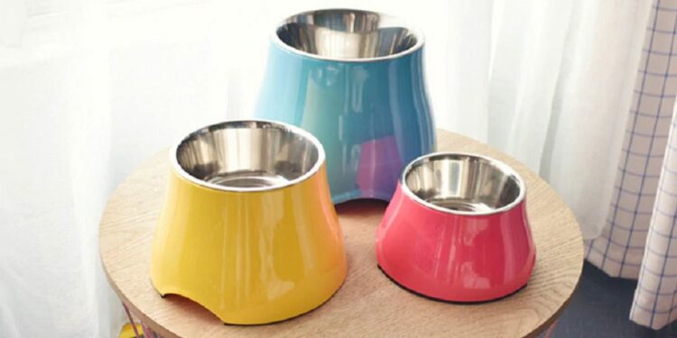 Pourquoi un chien ne doit pas manger en hauteur ?