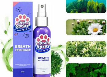 Pourquoi un chien sent mauvais de la bouche ?