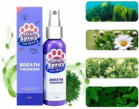 Pourquoi un chien sent mauvais de la bouche ?