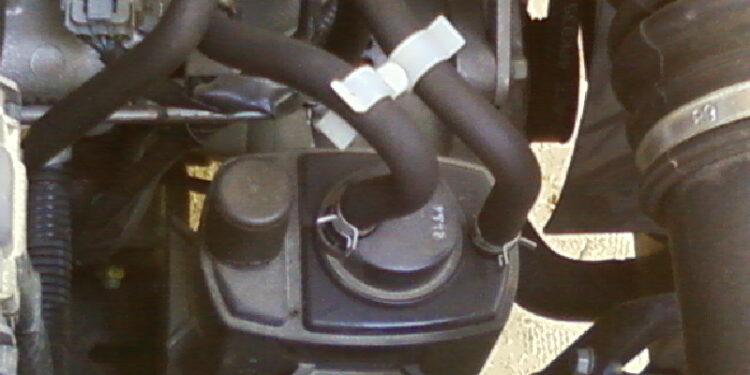 Pourquoi un discus devient tout noir ?