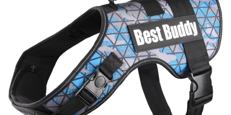 Pourquoi un harnais anti traction ?