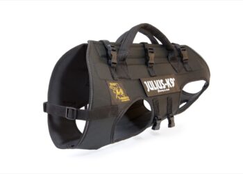 Pourquoi un harnais anti traction ?