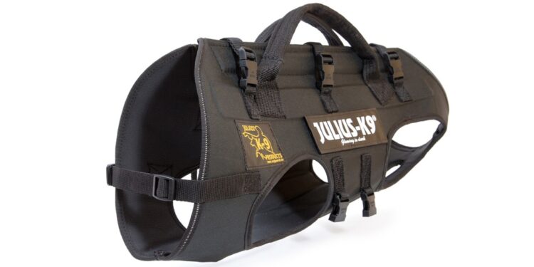 Pourquoi un harnais anti traction ?